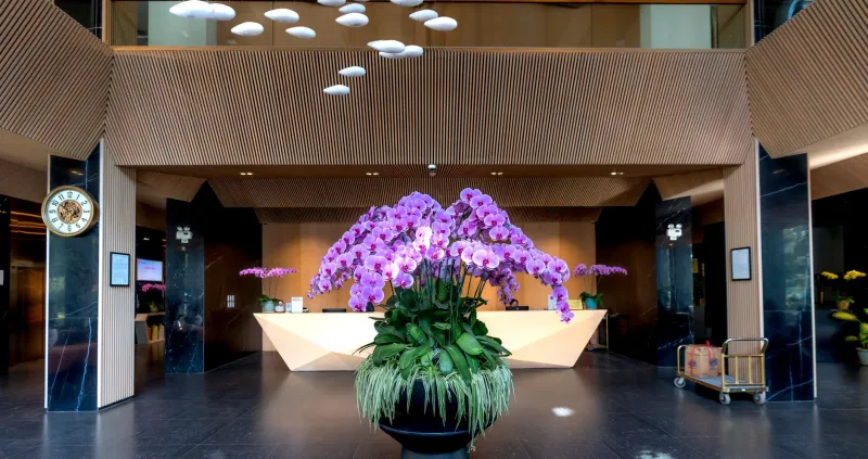 What Your Hotel Concierge Does in the First 24 Hours Tells You Everything You Need to Know