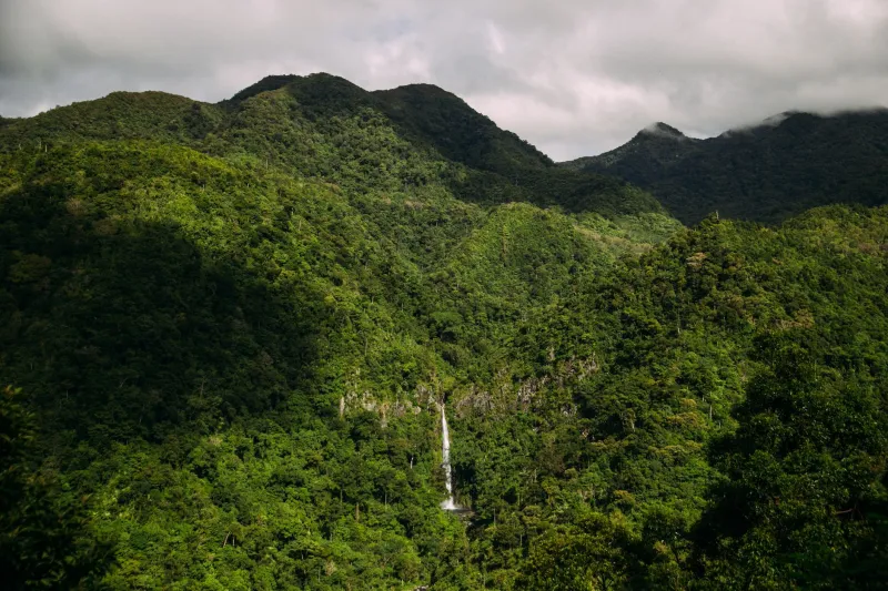 Jungle Fever: The Secret Waterfalls and Trails That'll Make You Forget Langkawi Even Has a Beach
